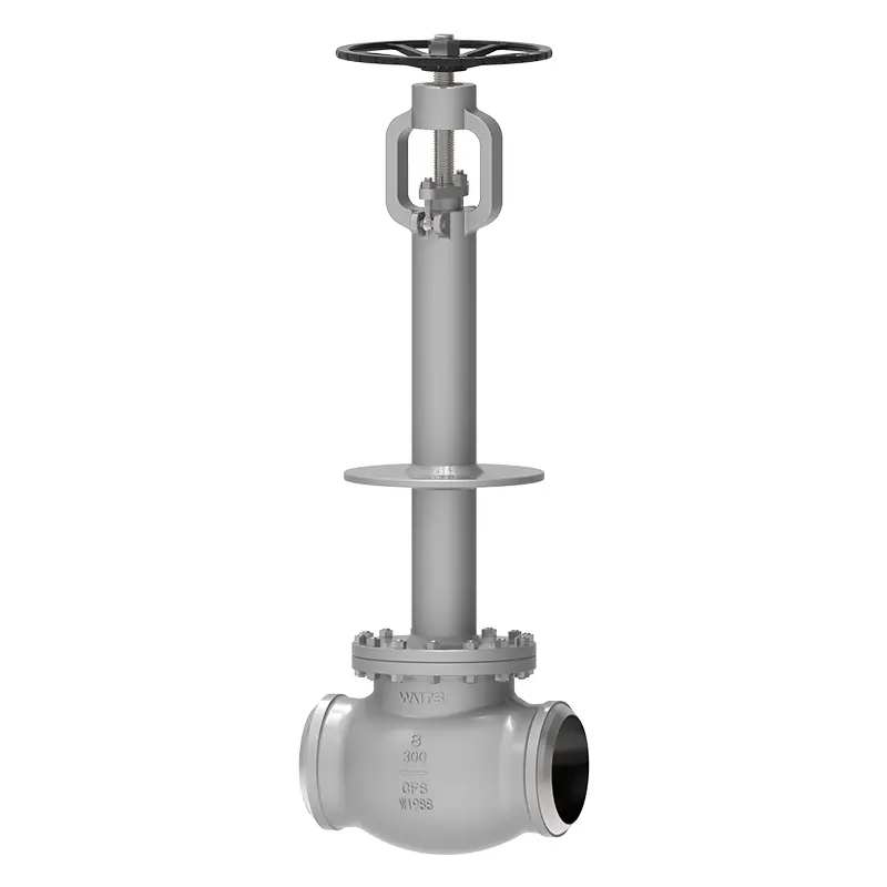 Cryogenic Globe Valve